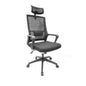 Ergonomic Mesh Office Chair with Headrest (Black)